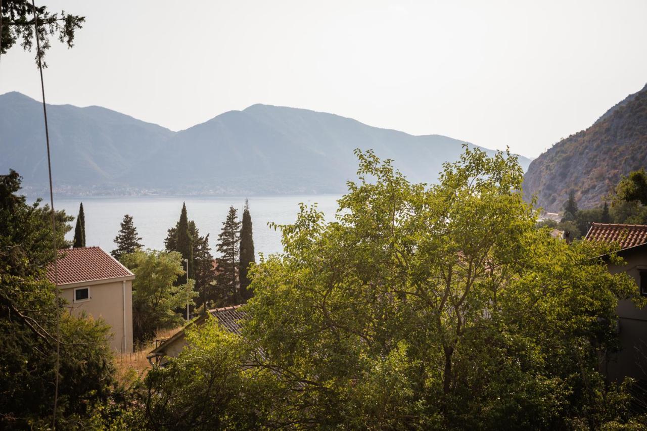Apartmani Peko Kotor Buitenkant foto
