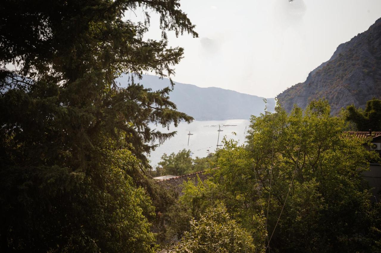 Apartmani Peko Kotor Buitenkant foto